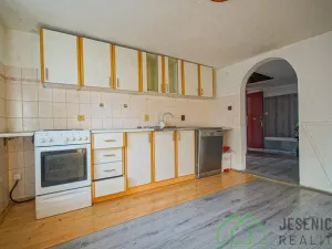 Prodej rodinného domu, Javorník, Družstevní, 407 m2