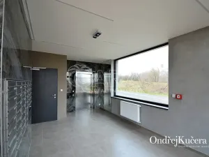 Pronájem bytu 1+kk, Praha - Ruzyně, Drnovská, 44 m2