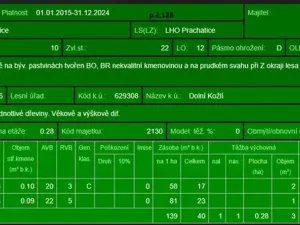 Prodej podílu lesa, Vlachovo Březí, 1357 m2