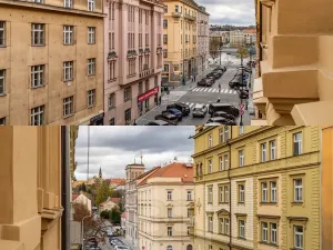 Pronájem bytu 3+1, Praha - Nové Město, Trojická, 95 m2