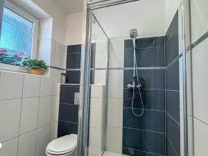 Pronájem rodinného domu, Vrbno pod Pradědem, 120 m2