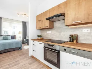 Pronájem bytu 1+1, Rychnov nad Kněžnou, Javornická, 38 m2