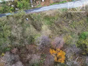 Prodej pozemku pro bydlení, Pustiměř, 1244 m2