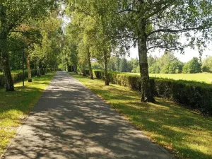 Prodej pozemku, Lázně Bohdaneč, Pod Břízami, 8173 m2