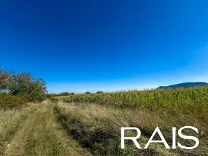 Prodej pozemku, Pouzdřany, 72600 m2