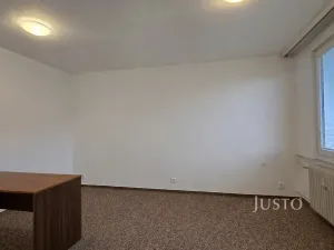 Pronájem bytu 1+1, Písek, 17. listopadu, 35 m2