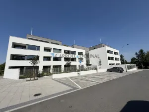 Prodej bytu 2+kk, Ostrava - Slezská Ostrava, U Hájenky, 53 m2