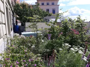 Pronájem bytu 1+kk, Tábor, Hradební, 40 m2