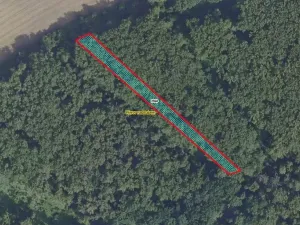 Prodej lesa, Přerov nad Labem, 2852 m2