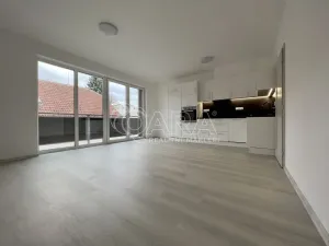 Pronájem bytu 2+kk, Česká, 48 m2