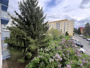 Prodej bytu 2+1, Praha - Letňany, Frýdecká, 53 m2