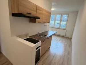 Prodej bytu 2+1, Chomutov, Školní pěšina, 59 m2