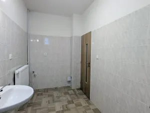 Pronájem bytu 2+kk, Peruc, U Koupaliště, 59 m2