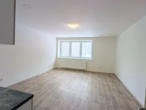 Pronájem bytu 2+kk, Peruc, U Koupaliště, 59 m2