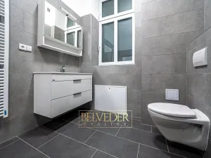 Pronájem bytu 3+kk, Teplice, Pražská, 44 m2