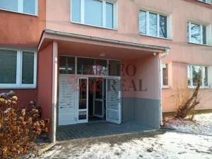 Pronájem bytu 1+kk, Planá nad Lužnicí, Průmyslová, 9 m2