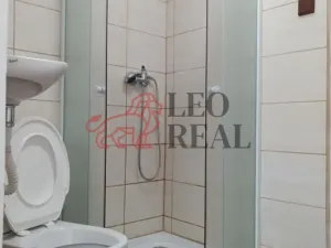 Pronájem bytu 1+kk, Planá nad Lužnicí, Průmyslová, 9 m2