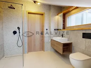 Pronájem bytu 1+kk, Ledenice, Okružní, 80 m2