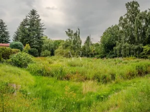 Prodej rodinného domu, Sulice - Želivec, Hlavní, 370 m2