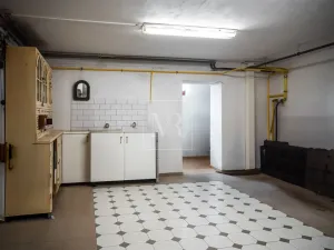 Prodej rodinného domu, Sulice - Želivec, Hlavní, 370 m2