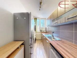 Pronájem bytu 2+1, Liberec, Slovenského národního povstání, 45 m2