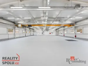 Pronájem výrobních prostor, Blešno, 700 m2