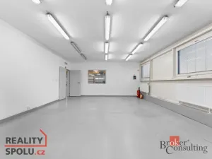 Pronájem výrobních prostor, Blešno, 700 m2