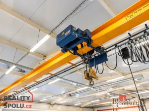 Pronájem výrobních prostor, Blešno, 700 m2