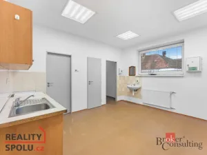 Pronájem výrobních prostor, Blešno, 700 m2