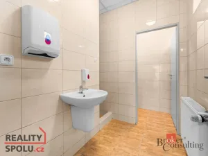 Pronájem výrobních prostor, Blešno, 700 m2