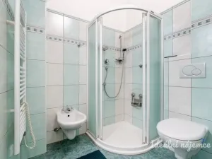 Pronájem bytu 2+kk, Praha - Nusle, Pod lázní, 40 m2