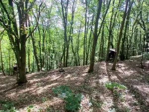 Prodej chaty, Doubravník, 32 m2