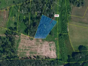 Dražba lesa, Mladoňovice, 1427 m2