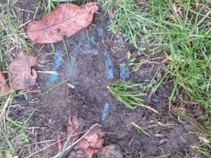 Dražba rodinného domu, Nové Syrovice, 474 m2