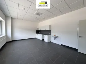 Pronájem výrobních prostor, Most, Kabátnická, 30000 m2
