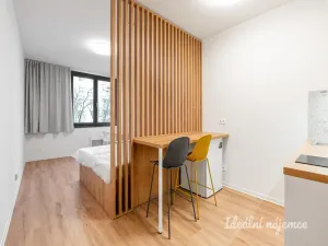 Pronájem bytu 1+kk, Praha - Břevnov, Na Větrníku, 27 m2