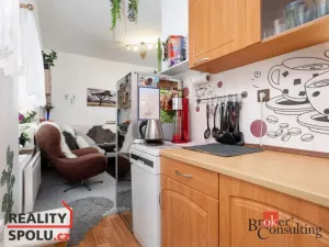 Pronájem bytu 2+kk, Opava - Předměstí, Krnovská, 41 m2