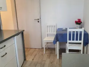 Pronájem bytu 2+1, Plzeň, Žlutická, 33 m2