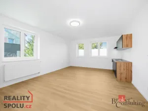 Pronájem bytu 1+kk, Břasy, 44 m2