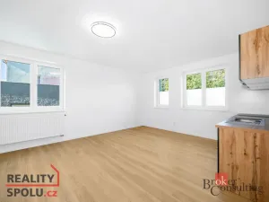 Pronájem bytu 1+kk, Břasy, 44 m2