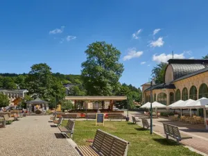 Prodej bytu 1+1, Janské Lázně, Na Sluneční Stráni, 32 m2