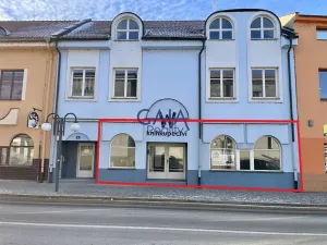 Pronájem obchodního prostoru, Veselí nad Moravou, Zámecká, 184 m2