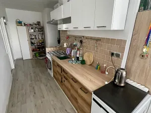 Pronájem bytu 3+1, Lovosice, Vodní, 65 m2