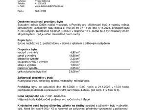 Pronájem bytu 1+1, Děčín, Dvořákova, 33 m2