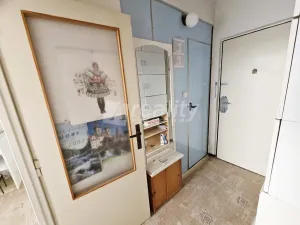 Prodej bytu 1+1, Jihlava, Královský vršek, 34 m2