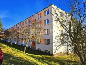 Prodej bytu 1+1, Jihlava, Královský vršek, 34 m2