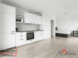 Pronájem bytu 1+kk, Plzeň - Skvrňany, Františka Kováříka, 41 m2