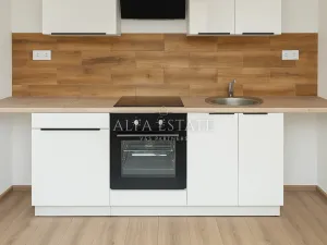 Pronájem bytu 1+1, Habartov, Mírová, 41 m2