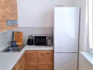 Pronájem bytu 2+1, Rokytnice v Orlických horách, Sídliště 1. máje, 54 m2