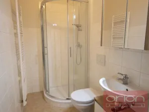 Pronájem bytu 1+1, Praha - Žižkov, Kubelíkova, 47 m2